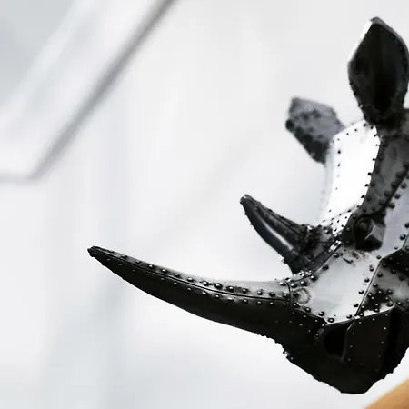 Grey Rhino 1min From The White Tower